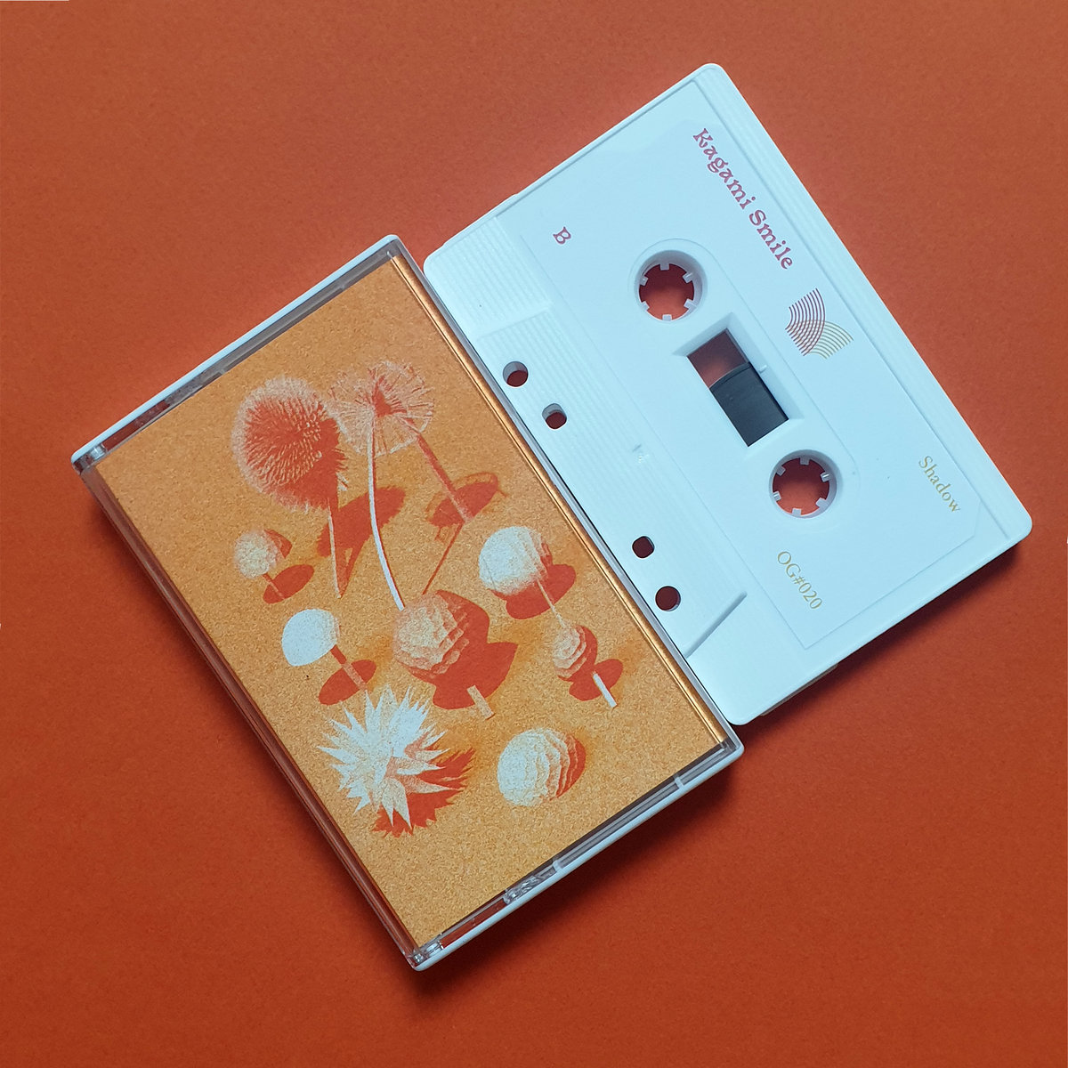 ✨ Shadow by KAGAMI Smile