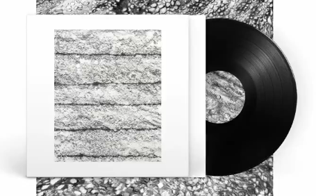 Surface by Broken Canyon